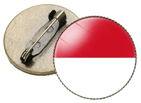 Modische Broschen Mit Monaco-Flagge, Retro-Stil, Rund, Glas-Cabochon-Anhänger, Anstecknadel, Abzeichen Für Kleidung, Europa-Flagge, Patriotisches Zubehör, Schmuck, Geschenk, 25 Mm X 25 Mm, G