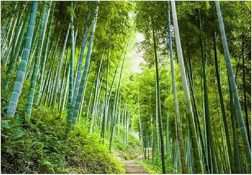 Fotomurales Decorativos Pared Bambú Verde 200x140 cm Papel Pintado Tejido No Tejido Paisaje Forestal Fotomural 3D Mural Paredes Papel Tapiz Decoración Salón o Dormitorio a-9282