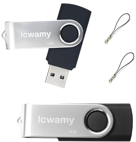 lcwamy 4GB USB Flash Drives 2 Pack Bulk USB2.0 Flash Drive 4GB Twister USB Stick Thumb Drive 2 Pack