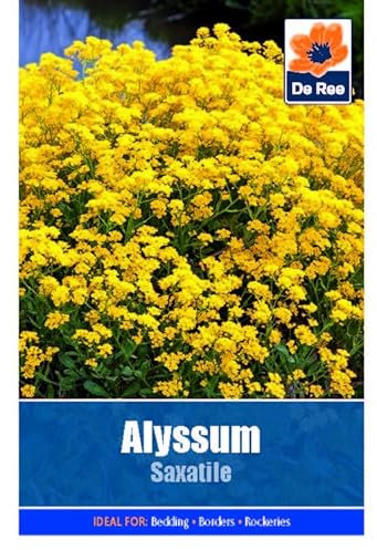 Flower Seeds Alyssum Saxatile - 29 Seeds Packet Plant Bedding Borders Containers Pots Grow Your Own Garden Plant Seed