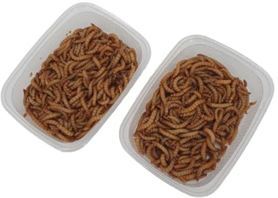 Lebende Mehlwürmer – Hochwertiges Protein-Futter für Igel, Reptilien, Nager und Vögel – Literware für gesunde Ernährung und natürliches Fressverhalten! 250 ml lebend + 125 ml getrocknete Mehlwürmer