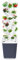 WNGJZZYC 1 Système de Tour de Culture Hydroponique, avec Réservoir de 10L, Tour Hydroponique à 6 Niveaux et 30 Trous, Hydroponie Kit Complet, pour la Maison, la Cuisine et Le Bureau(Gray)