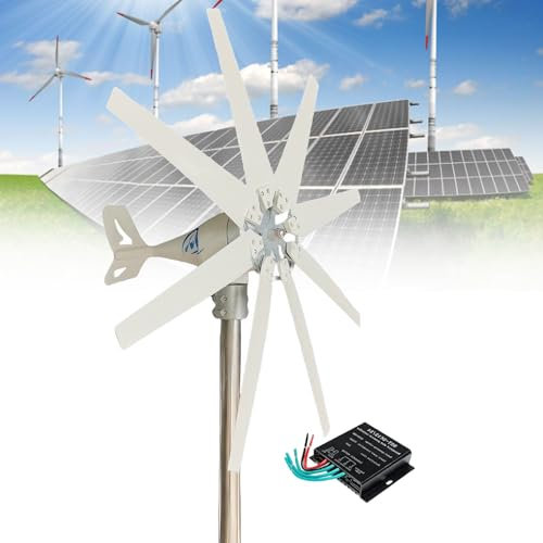Aerogenerador de 8 aspas de 12 V, 24 V y 48 V, 14000 W,Sistema de energía trifásica PMG para jardín,Ideal para hogares,Estaciones meteorológicas y Carreteras.(24v with Controller)