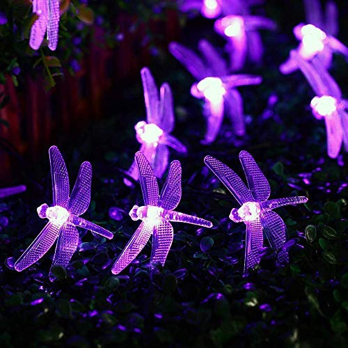 KINGCOO Libelle Schnur Lichter Solarleuchten Außen, Wasserdicht 20ft 30LED 8 Modus Solar Lichterketten für Haus Terrasse Garten Party Hochzeit Weihnachtsbeleuchtung Dekorationen (Lila)