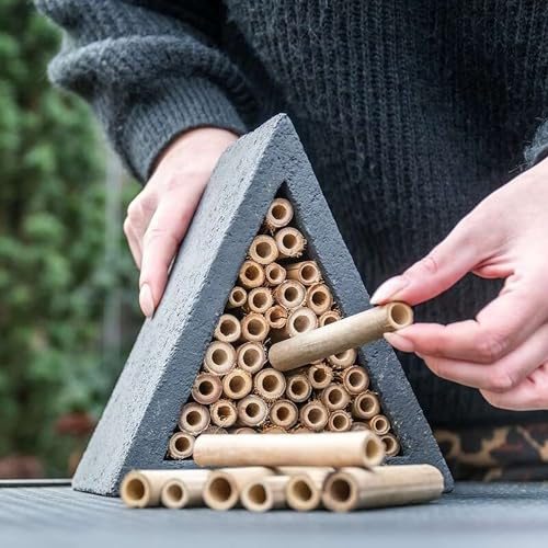 CJ Wildlife Insektenhotel Füllmaterial – Niströhren für Wildbienen aus Schilfrohr – Bambus Braun – Ersatz für Woodstone Modelle 70 mm & 90 mm