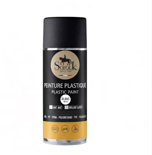 SOFOLK Peinture Plastique Haute résistance pour Auto, Tableau de Bord, Garnitures de Porte, Pare-Choc (00-Blanc Brillant)