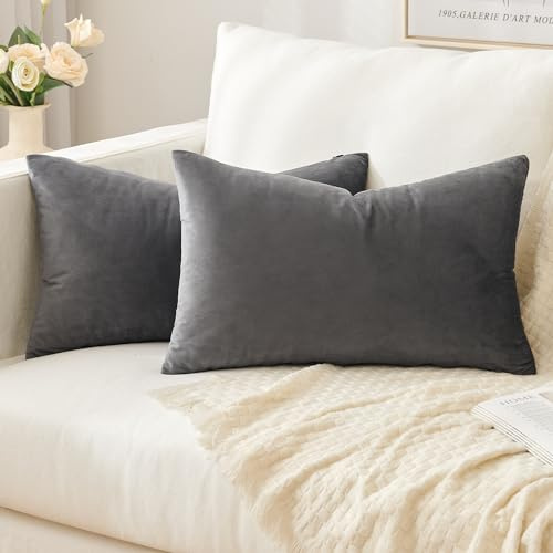 Slozzi 2er Set Samt Kissenbezüge 30x50 Dunkelgrau Dekokissen Sofakissen | Haushalt Dekorative Kissenhülle Weich für Sofa Schlafzimmer Wohnzimmer