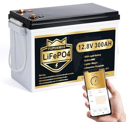PUPVWMHB Mini-LiFePO4-litiumbatteri på 12 V/300 Ah, litiumbatteri, 200 A BMS, upp till 15 000 cykler, max 3 840 Wh energi med låg temp-cutoff, perfekt för husbil, sol och trollingmotor