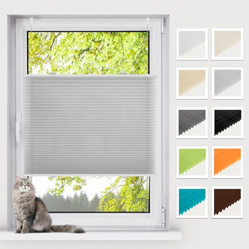 BelleMax Plissee ohne Bohren Klemmfix, Hellgrau 85x210cm(BxH), Easyfix lichtdurchlässig Sichtschutz und Sonnenschutz, Jalousie Plisseerollo mit Klemmträger, Faltrollo für Fenster & Tür
