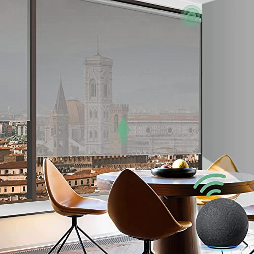 Yoolax Elektrisches Rollo mit Fernbedienung,Alexa Google Home Sprachsteuerung,Brandschutz Feuerhemmend Free Stop Smart Rollo 50% Verdunkelung Lichtfilterung,Nach Maß(Grau)