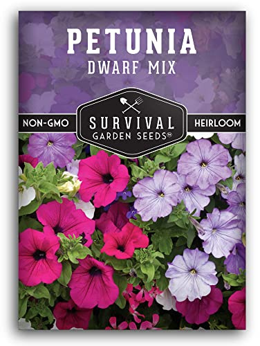Dwarf Petunia Seed Mix for Planting - Plant & Grow Colorful Flowers to Attract Pollinators to Your Home Garden - Non-GMO Heirloom Variety - Survival Garden Seeds (1 Pack)