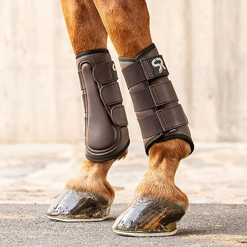 SUNRIDE Dressurgamaschen (2er Set) - für Pferde - aus Echtleder und Neopren - zum Schutz vor Verletzungen (XS / 24 cm, braun)