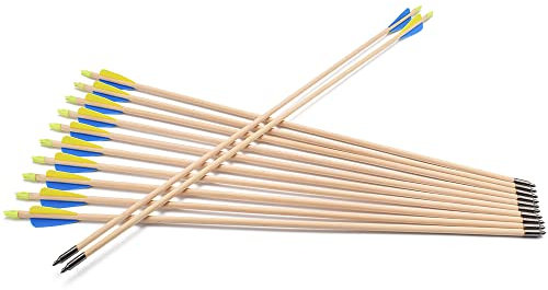 TY Archery 12 Stück Holzpfeile Pfeile Holzpfeil Recurvebogen Sportbogen Bogenschiessen 30 Zoll