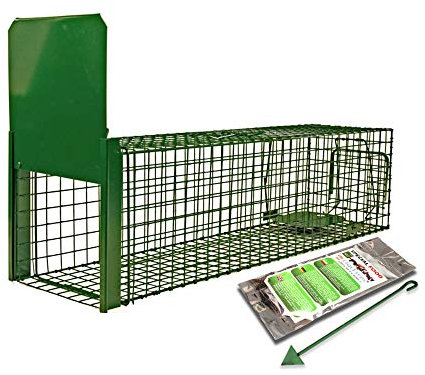 Holtaz Fallen Strong Grün 140x34x42 cm 1 Tür Marderfalle Katzenfalle Fuchsfalle Biberfalle Tierfalle Kastenfalle Drahtfalle Lebendfalle Mit Extra Köder