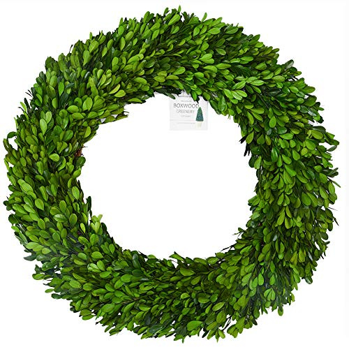 Boxwood Wreath 24 inch XX-Large, Preserved Natural Boxwood Designed for Christmas Wedding Home Decoration, Farmhouse Style Realistic Full Green Real Decoration, Indoor Home Office Shop Hotel Decor