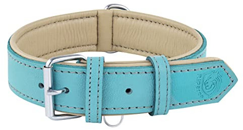 Riparo Echtes Leder Verstellbares Hundehalsband mit Zusätzlicher Verstärkung (M: 2,5CM Breit für 34,3CM - 44,5CM Hals, Aqua)