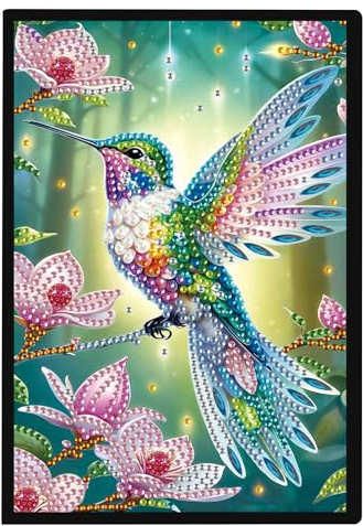 SHEGZHUC 14,5 x 21 cm, cuaderno de pintura de diamantes, A5, en blanco, cuaderno de pintura de diamantes, diario de agradecimiento, diario de piedras especiales, diario para niñas (pájaro colibrí