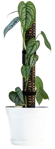 Monstera Moss Pole | Pali per piante da interno, pali di supporto per piante in PVC impilabili per Monstera