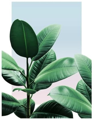Nordische minimalistische Ästhetik, Wandkunst, Kaktus, Agave, Pflanze, HD-Öl auf Leinwand, Posterdruck, Home, Wohnzimmer, Schlafzimmer, Dekoration, Geschenk(H,50x70cm no frame)