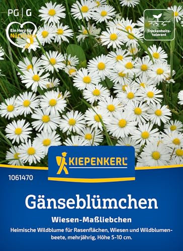 Kiepenkerl Gänseblümchensamen Wiesen-Maßliebchen 1061470 - Blumensamen für Wiesen und Wildblumenbeete mit einer Wuchshöhe von 5 bis 10 cm - Saatgut