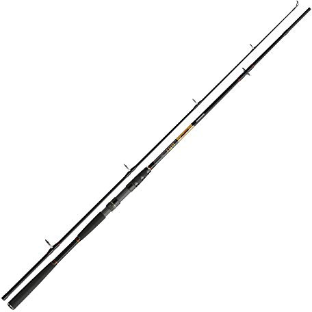 Cormoran Seacore BAT Pilk 2,70m 100-200g Rute
