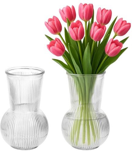 2 Vasi in Vetro - Vaso per Tulipani 17 x 12 x 12 cm - Materiale Vetro - Ideale per Composizioni Floreali, Decorazioni da Tavolo - Per Matrimonio, Feste, Accessori per la Casa (Trasparente)