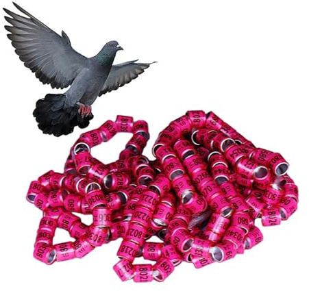 50pieces Bird Leg Bands | Birds Foot Rings | Pigeon Identification Rings | Pigeon Leg Band | Poultry Identification Bands | Pegeon Accessories For Chick Duck Pigeon 8mm