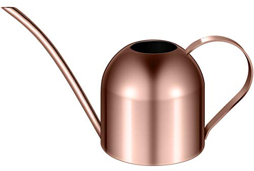 1 Stück Edelstahl Gießkanne für Zimmerpflanzen Oder Hauspflanzen Langen Auslauf Garten Gießkanne 1000ml Kleine Garten bewässerungstopf (Kupfer)
