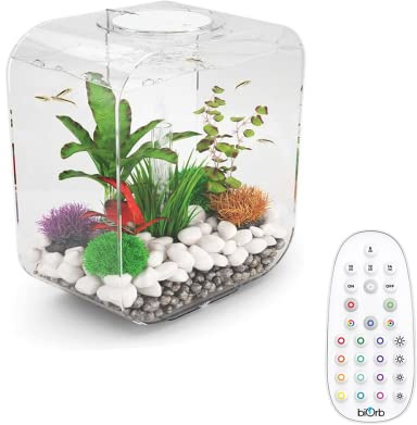 biOrb Life 30 MCR transparentes Aquarium mit Acrylmaterial und patentiertem Filtersystem für Fische