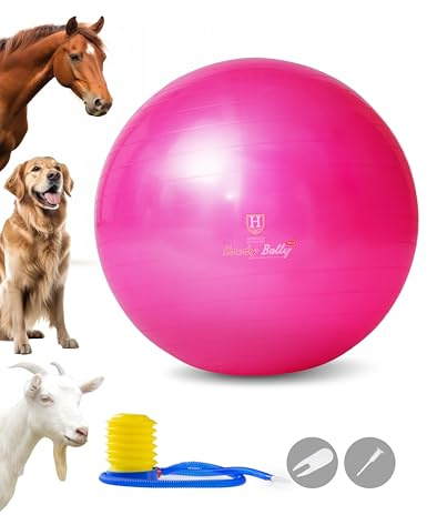Harrison Howard Howdy Bally Mega - Pelota de juego de caballos gigante, antiexplosión, pelota de fútbol, pelota de pastoreo, pelota gigante para caballos, 22 pulgadas, magenta