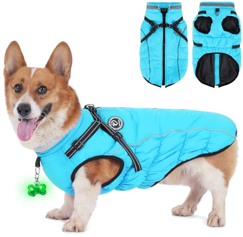HezzLuv Giubbotto Invernale per Cani Impermeabile con Pettorina, Strisce Riflettenti & Collare LED, Foderato in Pile, Antivento/Regolabile – Cappotto Caldo per Cani Piccoli e Medi