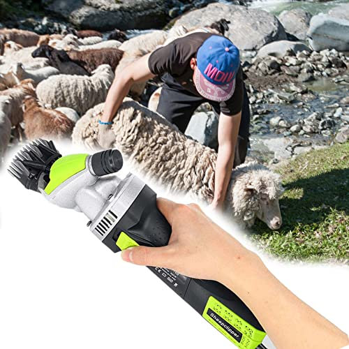JEWMIA Electrique,Tondeuse Electrique Professionnellepour LaineTondeuse Mouton a Haute PuissanceEconomie de Travail, Tondeuse pour LaineMouton Chevre Machine de Cisaillement