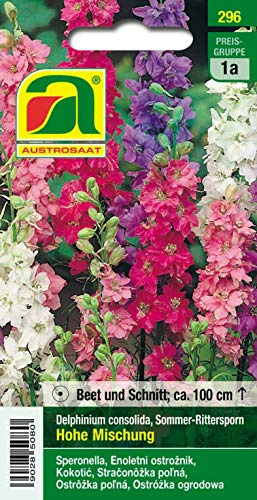 Sommer-RitterspornHyazinthenblütige Mischung