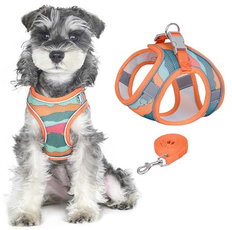 PawSailor Hundegeschirr-Leinen-Set, Step-In, Kein Ziehen, Bedruckt, Reflektierend, Atmungsaktiv, Verstellbar, Ausbruchsicher, Hundeweste, Geschirr Für Extra Kleine Hunde Und Katzen, Orange XXS