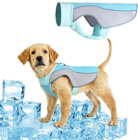Hund Kühlweste, Kühlweste für Hunde zur Abkühlung im Sommer, Atmungsaktive Hundekühlweste mit Hitzeschutz & Sonnenschutz, Outdoor Cooling Vest Dog,Elastisches Hunde Tshirt (Blau, M)