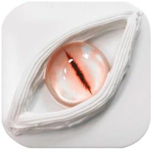 Devil's Eye Lenti a Contatto Scatola Scatola di Lenti a Contatto Portatile Colore Kit per Rimozione da Viaggio Kit Personalità Rimozione Contatto Scatola Fantasia, Lente di Rimozione, Fancy Kit