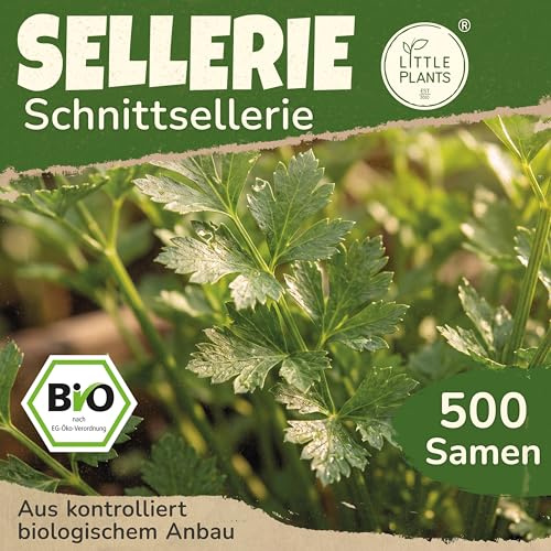 Little Plants BIO Sellerie Samen 500 Selleriesamen Schnittsellerie Gemüsesamen Gemüsesaatgut Samenfest für Gemüsegarten, Hochbeet, Küche, Balkon und Garten