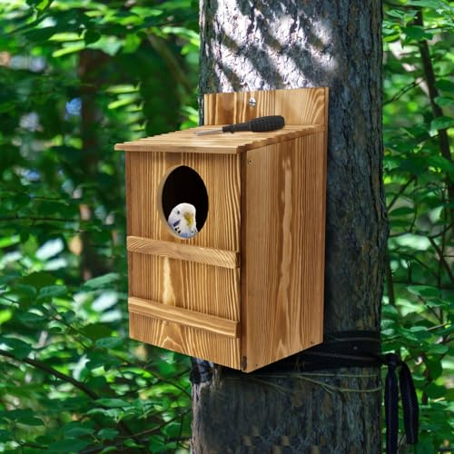 Nistkasten Rotkehlchen Holz, Nistkasten für Vögel für Draußen Wetterfest 36,8 * 19 * 22,8cm, Nistkasten Wellensittich Glatt Gratfrei, Brutkasten für Vögel, Rotkehlchen, Papageien, Eulen