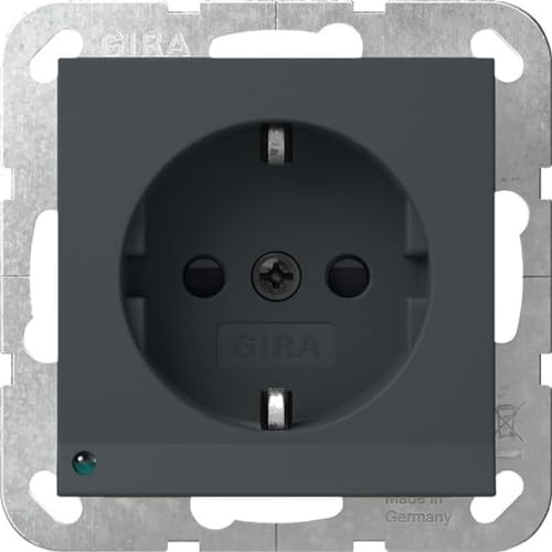 GIRA 417028 Steckdose IP20