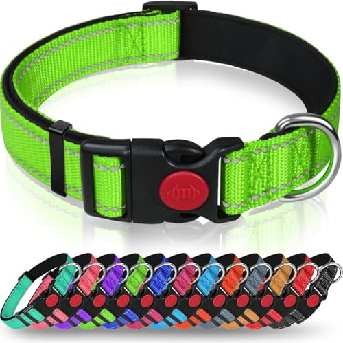 Taglory Collier Chien Réfléchissant Solide pour Grand Chien, Bleu Ciel