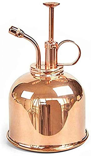 CLQ Pflanzengießkanne 300 Ml Retro Style Messing Pflanzensprühgerät Messing Gießkanne Retro Mini Gießkanne Gießwerkzeug Gärtner Pflanze