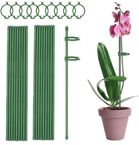 Zasvec Tutores para Plantas 20 Piezas Estacas de Soporte de Plantas Estacas de Plantas con 40 Clips Palos para Plantas Tutores para Orquideas Cañas para Tomateras Tutor Plantas para Flor, 30CM