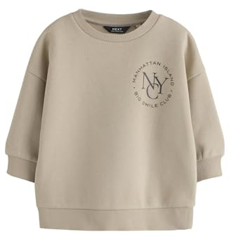 NEXT Yngre pojkar Sweatshirt med rund halsringning och tryck bak Cement 116-122