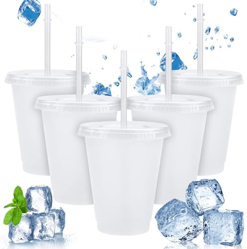5Pcs 500ml Iced Water Cups with Lids & Straws - Cold Drinking Tumblers, Plastic Tumbler Set, Reusable & BPA Free Plastic Cup, Slushie Cup Coffee Smoothie Slushy Drinking Cup, Party Cups for Kid Adults
