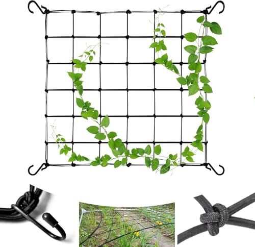 Elastic Trellis Netting with 4 Hooks, Heavy-Duty Plant Support Netting, Garden Grow Tent Net for Climbing Plants, Melons, Vegetables, Fruits and Flowers (60X60cm)