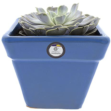 CERÁMICA RAMBLEÑA | Vaso da Fiori Ceramica Terracotta | Vaso Esterno con Drenaggio | Vasi Quadrati Azzurro - D105 | Fatto in Spagna 17.5x17.5x14.5 cm
