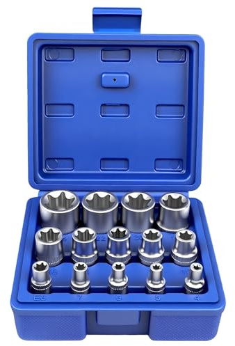 14-tlg. Außen Torx Steckschlüssel Set 1/4 3/8 1/2, Torxschlüssel Nuss Set Stecknüsse Steckschlüsseleinsätze E4-E24(Blau)
