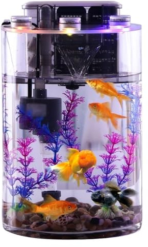 CSYQPDMBDL Kugelaquarium, Goldfischglas, Verdicktes kleines Aquarium mit Filterpumpe und LED-Leuchten, einfache Aquarien