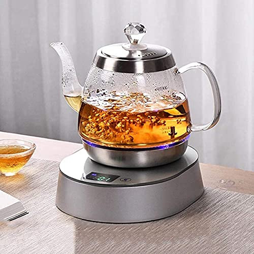 Bollitore, Bollitore elettrico per l'acqua, Bollitore per il tè, Bollitore termostatico con temperatura regolabile Bollitore elettrico in vetro senza fili con filtro 1L 1000W, Spegnimento