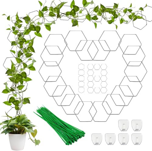 18 Pezzi Supporto Piante Rampicanti Graticcio per Piante Rampicanti Supporto per Piante Rampicanti Graticcio Sostegno per Piante Rampicanti Adatto per Petunie Edera Rose More e Varie Verdure in Vaso